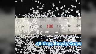 Potenzia i raccolti: fertilizzante di urea al 46% per gli agricoltori