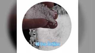 Fertilizzante di urea al 46% CAS 57 13 6 Uso industriale