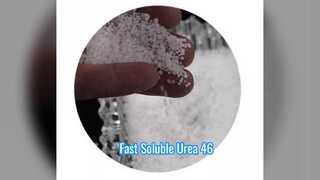 Fertilizzante a base di urea prilled, solubile rapidamente al 46%.