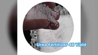Fertilizzante all'urea 46% minimo Aumenta la resa del raccolto