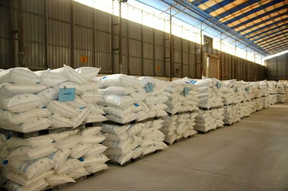 Processo di solfato di Tio2 rutile R-248 Diossido di titanio al 95% per il master batch e altro