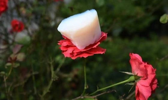L'aerogel idrofobo SiO2 spolverizza CAS 7631-86-9 Nanoporous